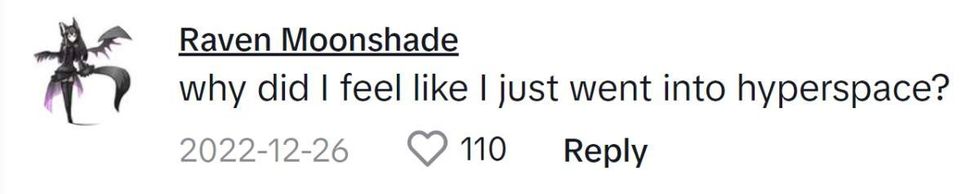 Image Source: TikTok|@ravenmoonshade