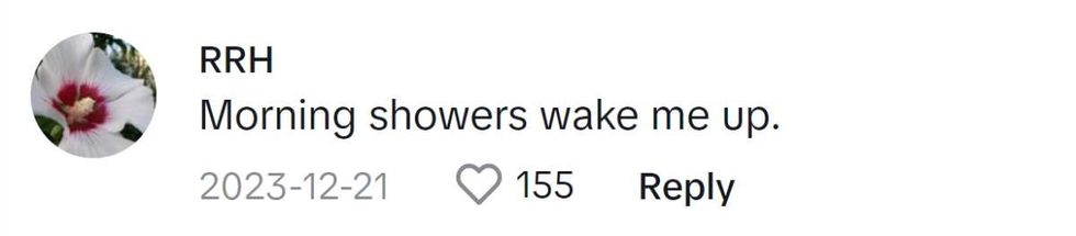 Image Source: TikTok|@rrholt