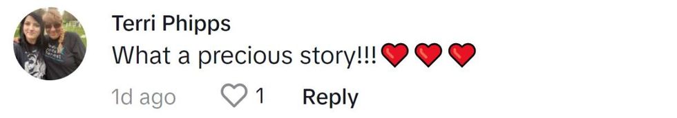 Image Source: TikTok|@terriphipps9