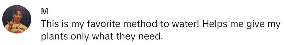 Image Source: TikTok | @_vampirehaechan6