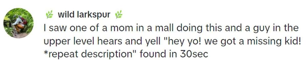 Image Source: TikTok | @wild_larkspur