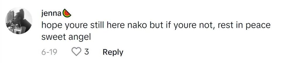 Image Source: TikTok|@withluv_jj