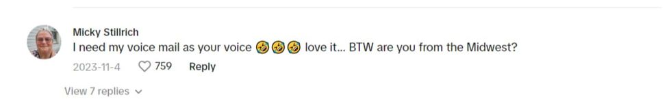 Image Source- TikTok