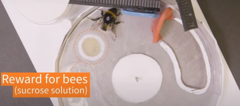 Image source: YouTube | NPG Press