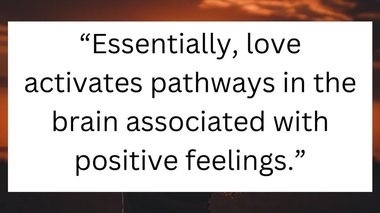 Scientists discover that falling in love can alter one's brain chemistry and behavior