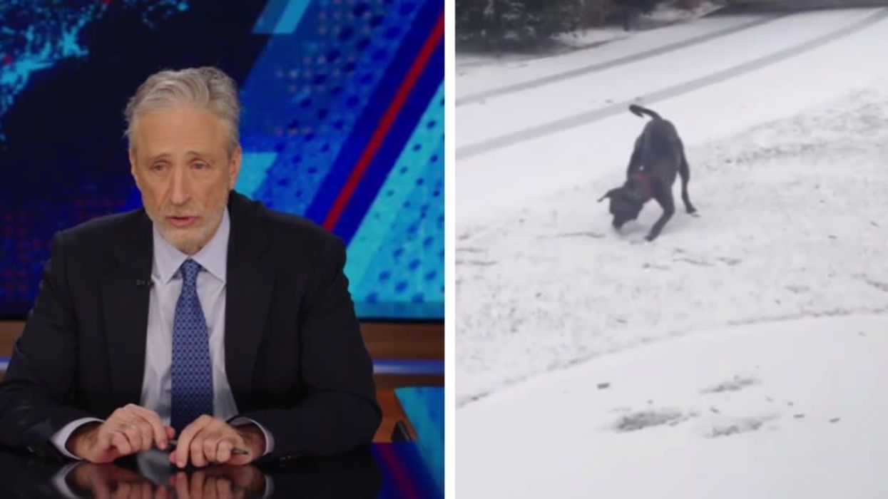 Jon Stewart breaks down in tears as he pays tribute to his late dog on 'The Daily Show'