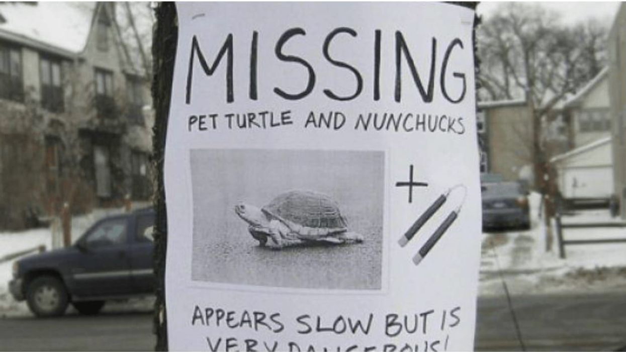 14 hilarious and clever lost pet posters