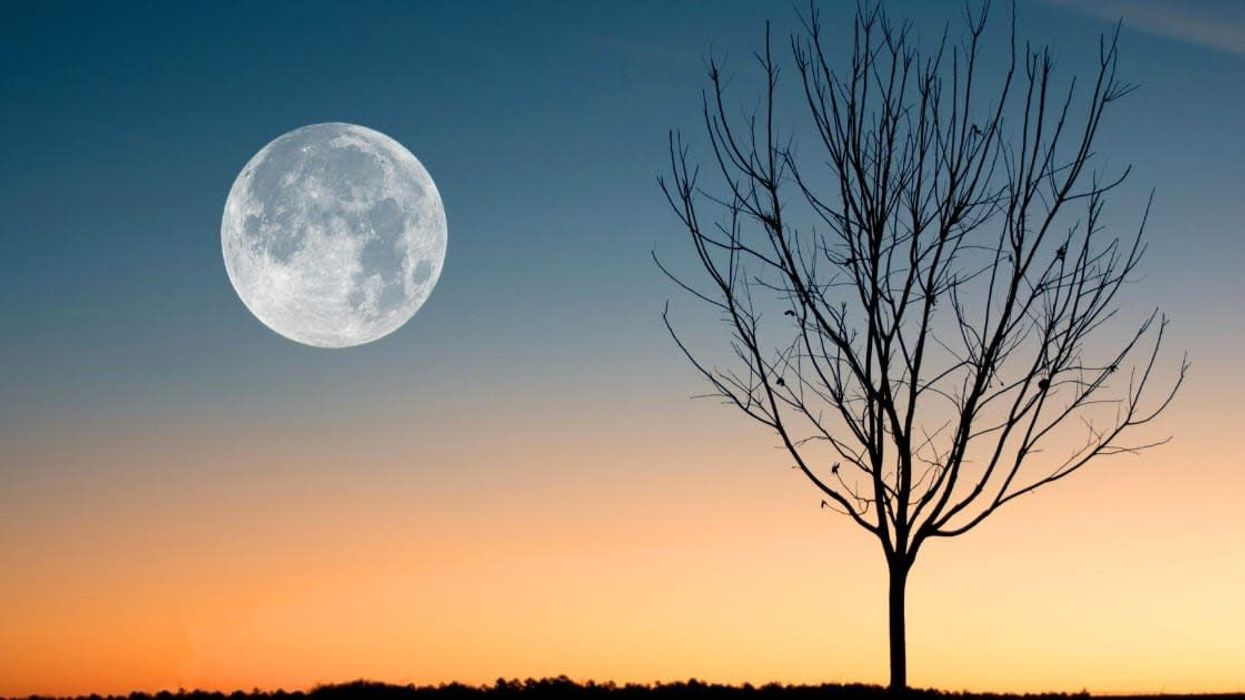 New clock for the moon where seconds tick faster than Earth? Here's what NASA is planning