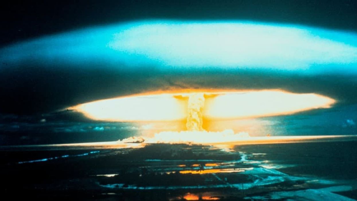 Experts believe this unique creature could make it to the end of the world