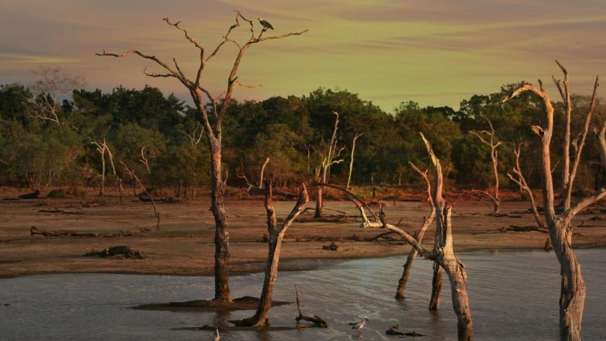 Engineers tackle water shortage with 'Star Wars' tech and it's simply genius