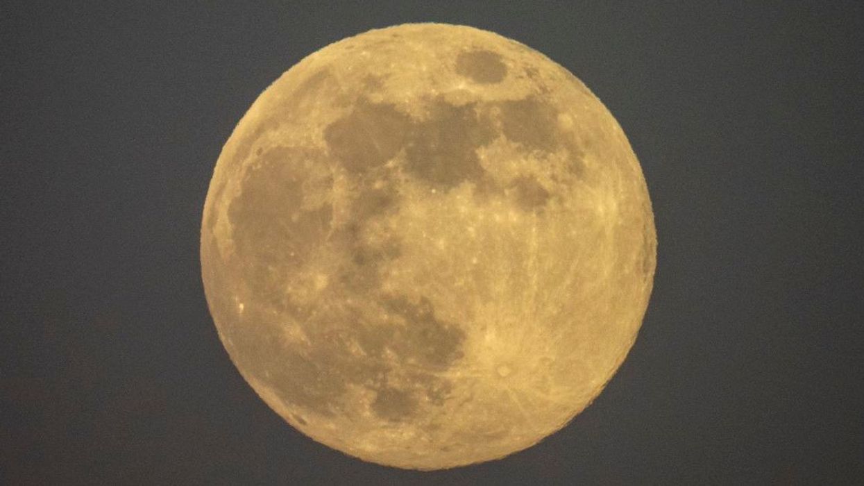 The mathematics professor who wanted to nuke the moon to save the world