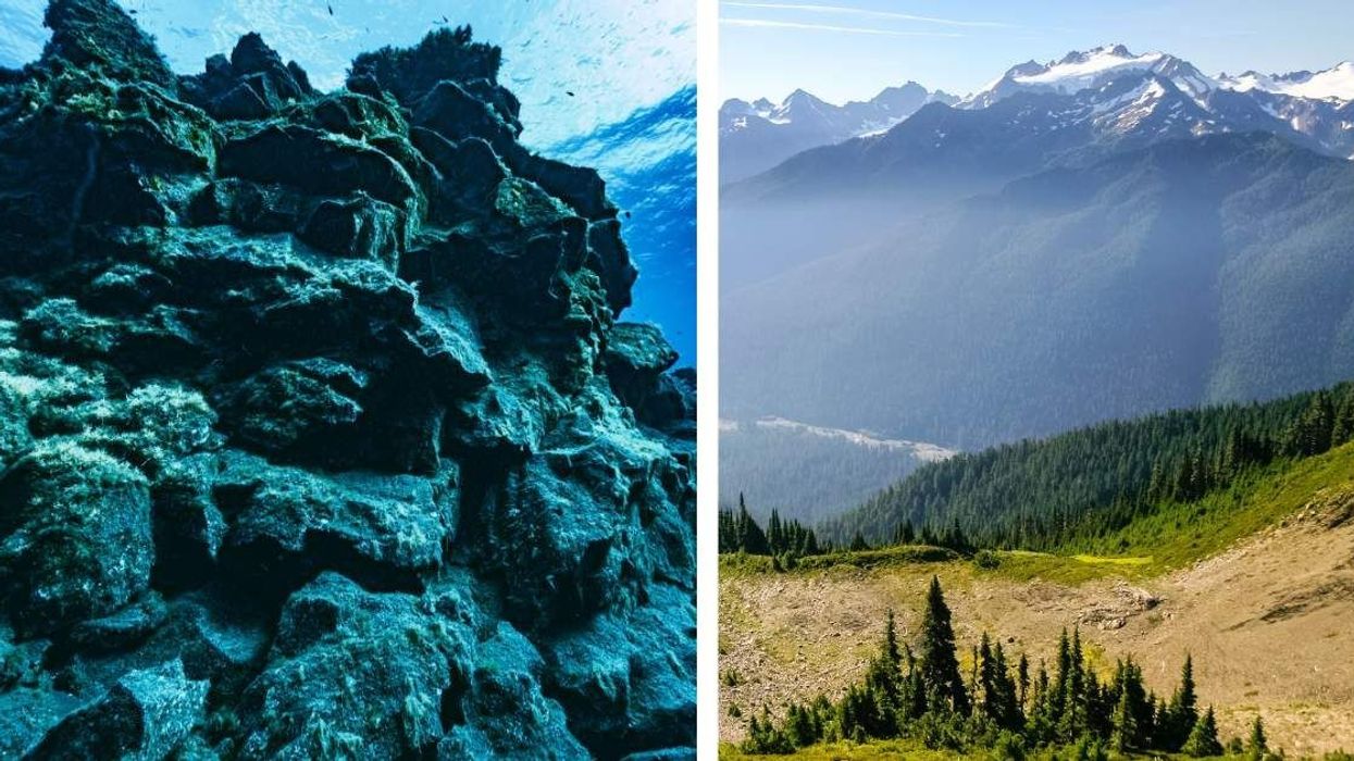 Oceanographers discover gigantic undersea mountain taller than Mount Olympus