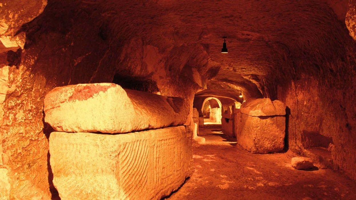 Archaeologists make extraordinary discovery of 1700-year-old tombs beneath Chinese zoo