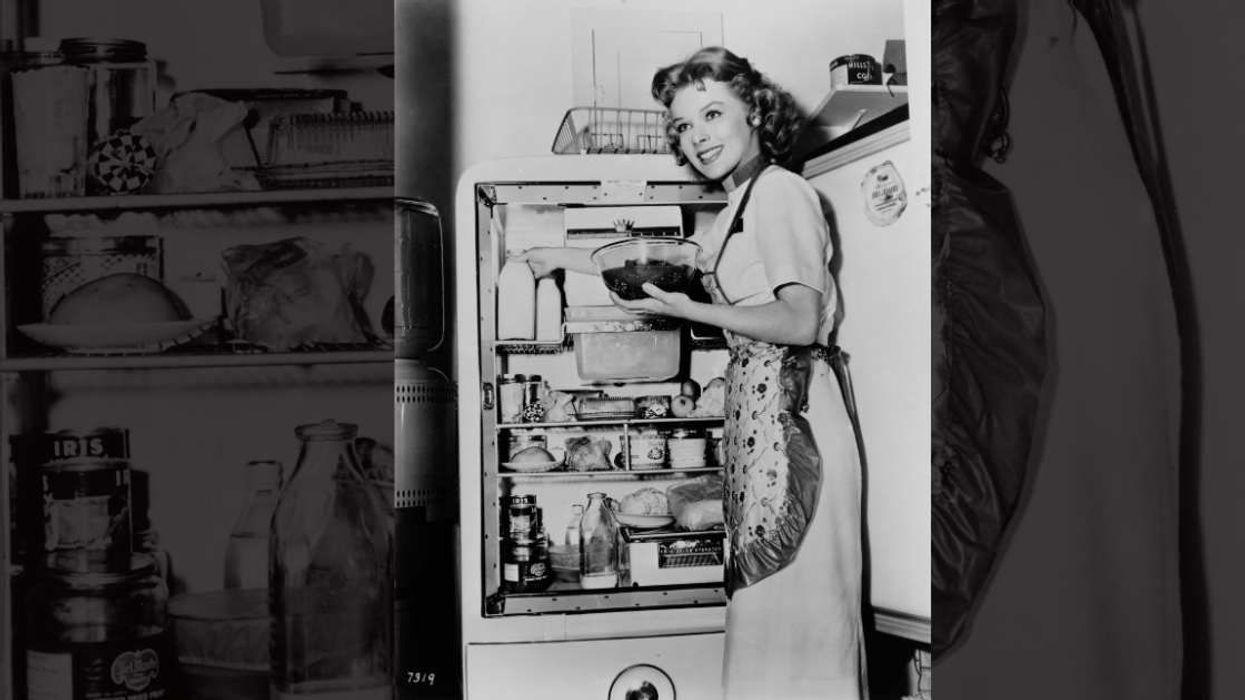 Epic 1956 fridge ad shows ingenious features people wish should 'come back with new technologies'