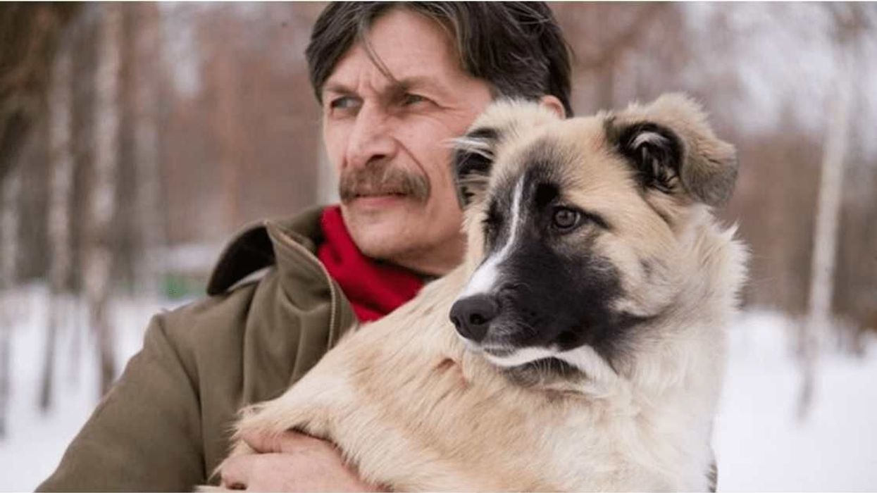 This Comic Will Leave You In Tears If You Love Your Pet