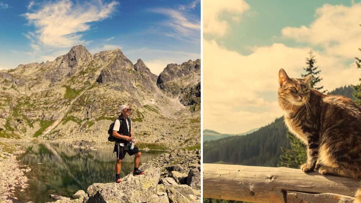 Trekker reaches Poland's highest peak, finds zen cat that was, mysteriously, already there