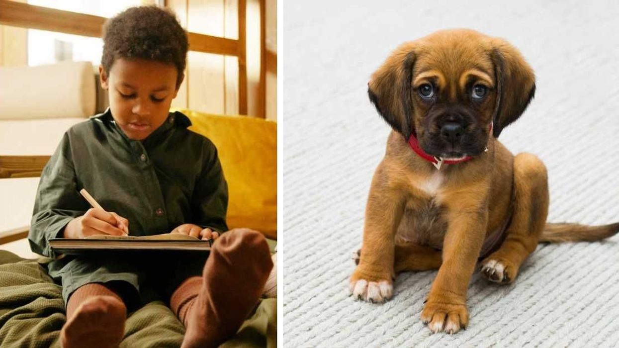 10-year-old boy writes adorable letter asking his neighbor to allow him to babysit their pup