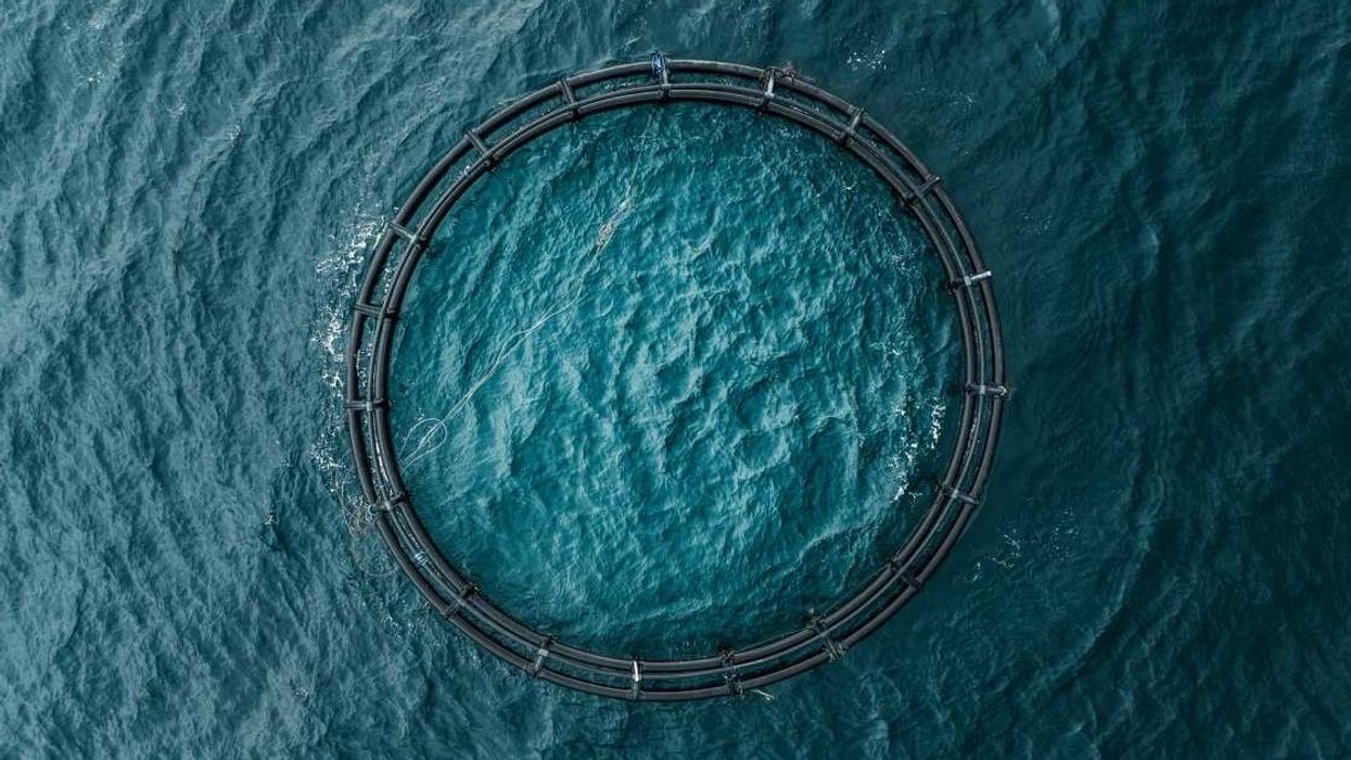 Scientists discover 40 mysterious craters at the bottom of Lake Michigan