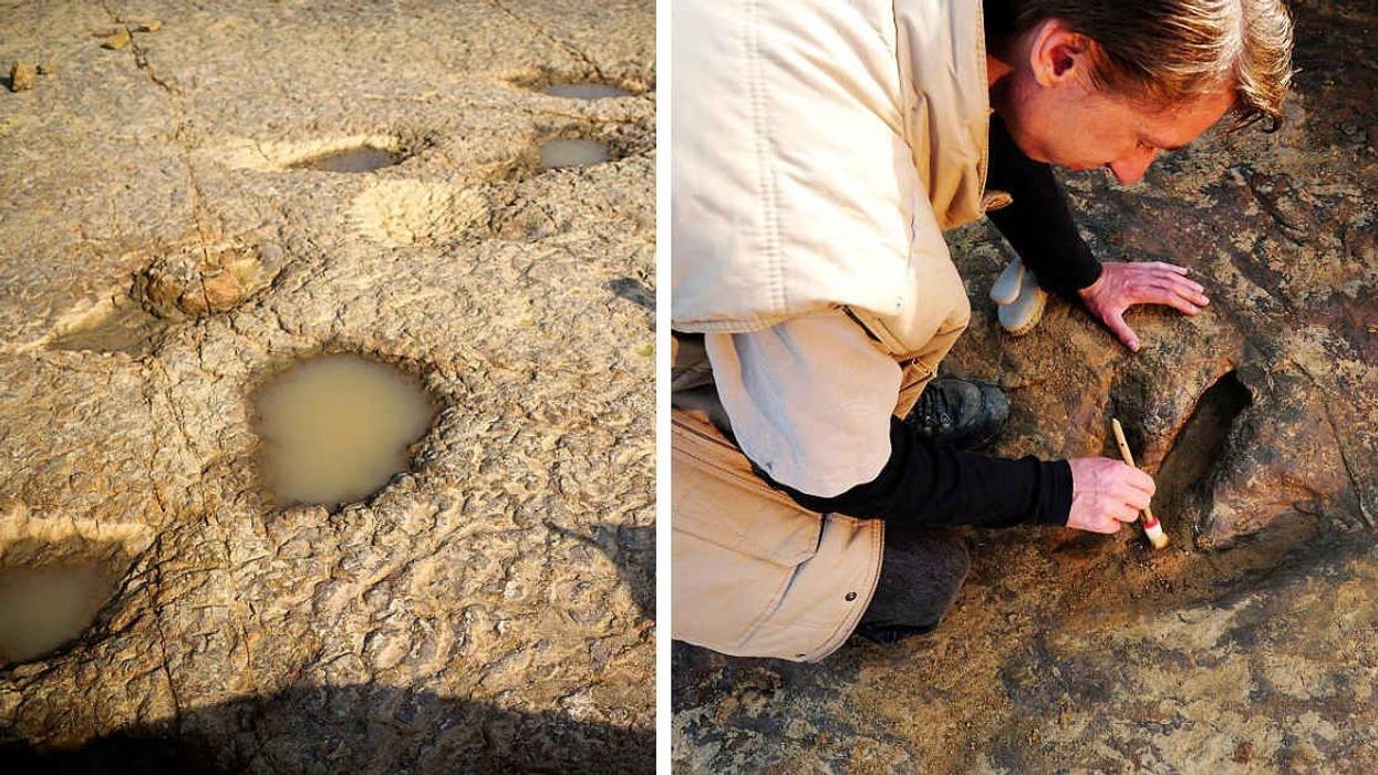Researchers find matching dinosaur footprints over 3,700 miles apart revealing a deep secret about continents