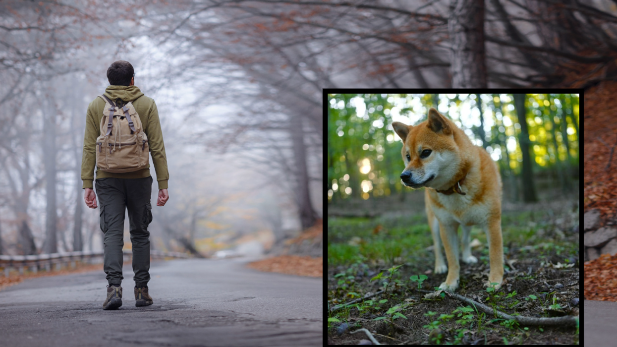 Kantaro Inagaki, Shiba Inu, walking across Japan, San-Chan, travel vlog, viral video, TikTok, Japan travel, wholesome story, dog adoption