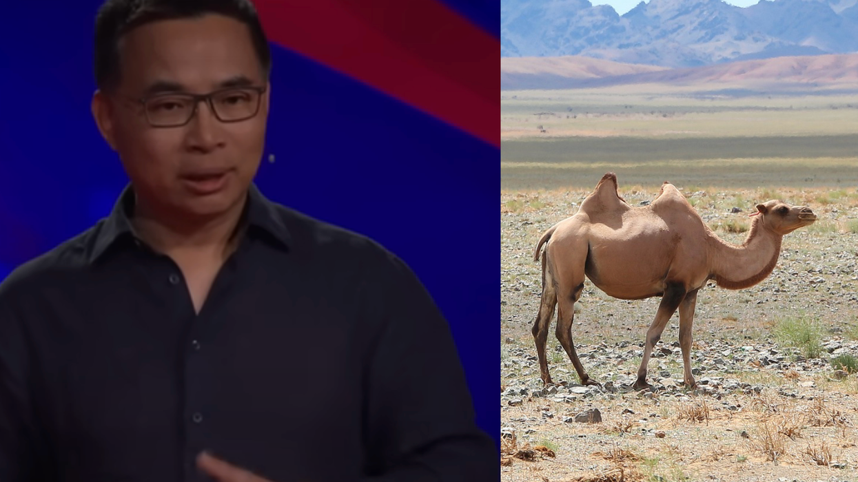 lei zhang, gobi desert, green energy, investment, climate change