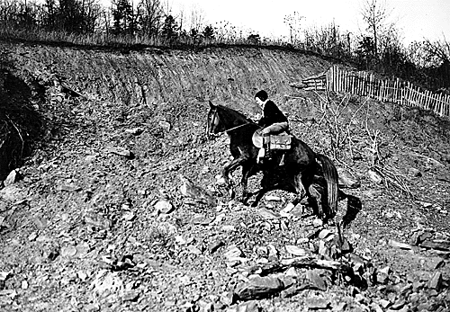 librarian, woman, horse, horseback, terrain