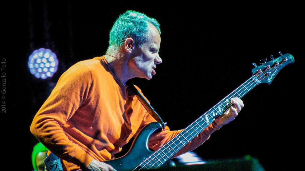 live performance, Lollapalooza, 2014, bass guitarist, famous people, artists, creatives, talented people