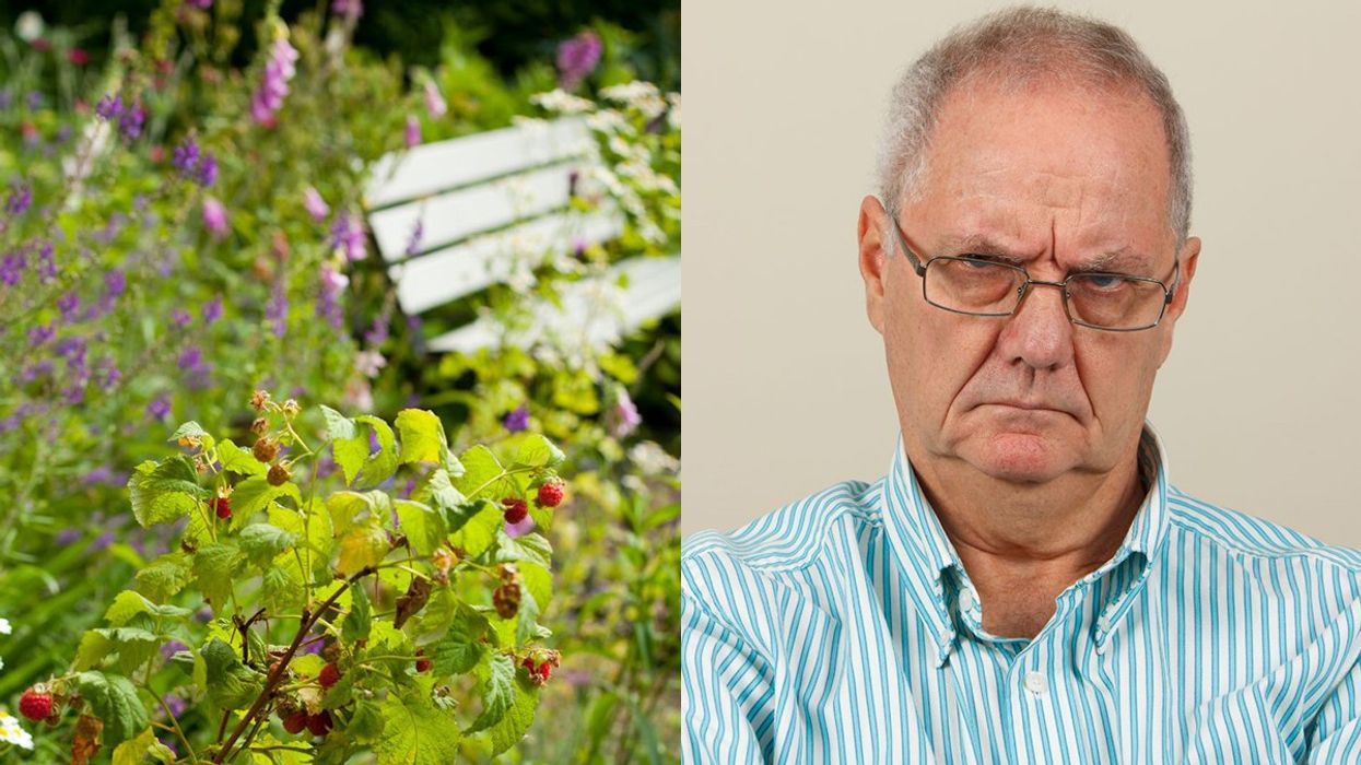 man, garden, wildflowers, homes, homeowner's association, community, HOA