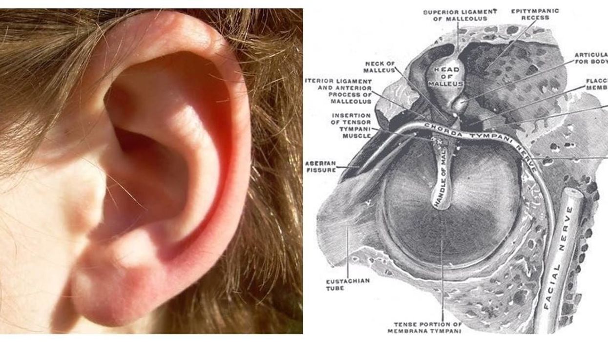 Ear rumbling is a special 'superpower' that not everyone has