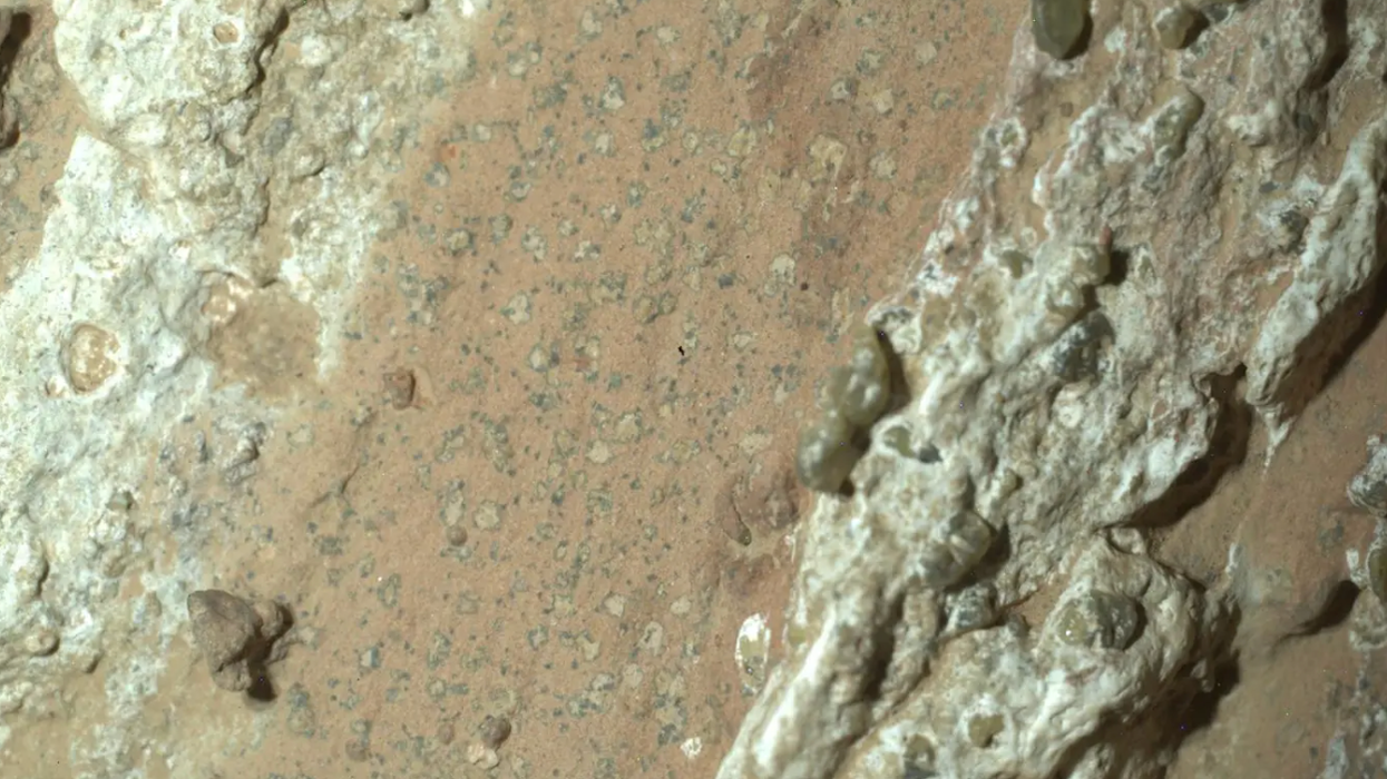 mars, space, nasa, life, discovery, life on mars,