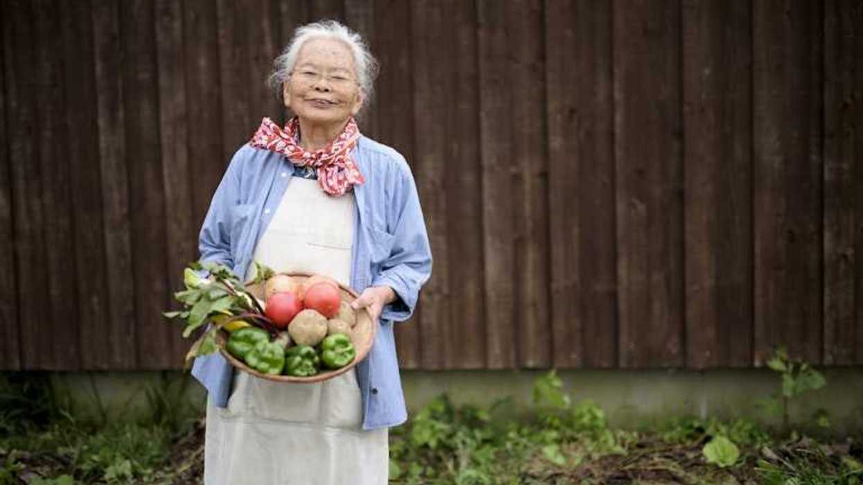 Microbiology, Gut microbiome, Aging, Inflammation, Microbiome, Microbes, Longevity, Gut microbes