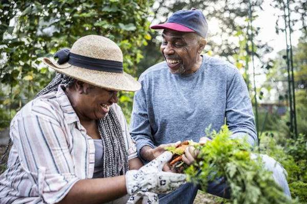 Microbiology, Gut microbiome, Aging, Inflammation, Microbiome, Microbes, Longevity, Gut microbes