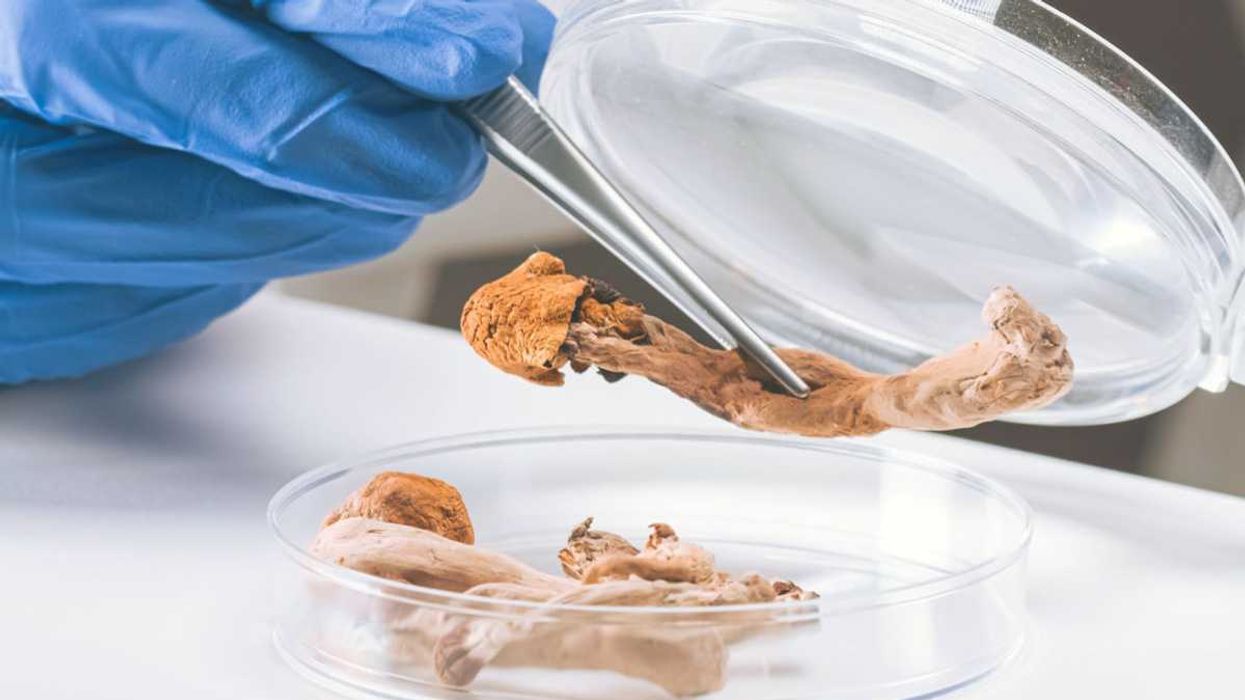 mushrooms, health professionals, depression scores, treatment, patients, relief, effective dosage