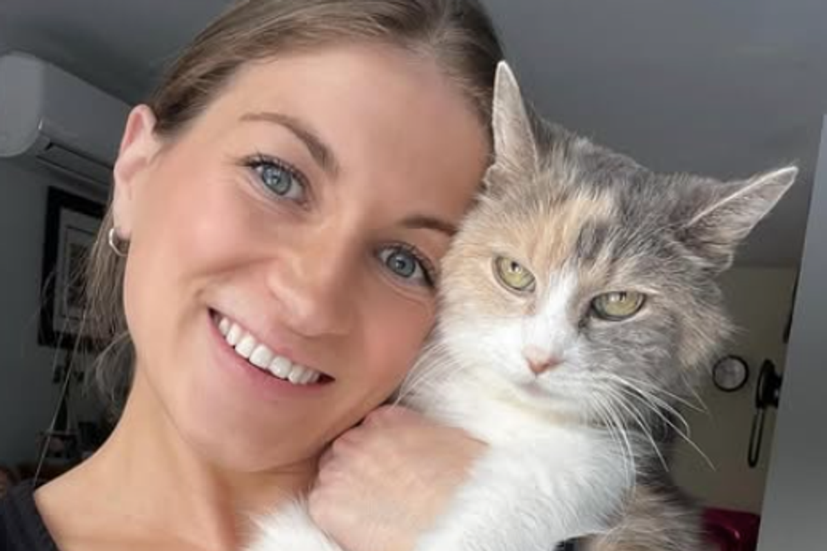 My Grandfather's Cat, Angela Rafuse, Mackenzie, grumpy cat, adoption