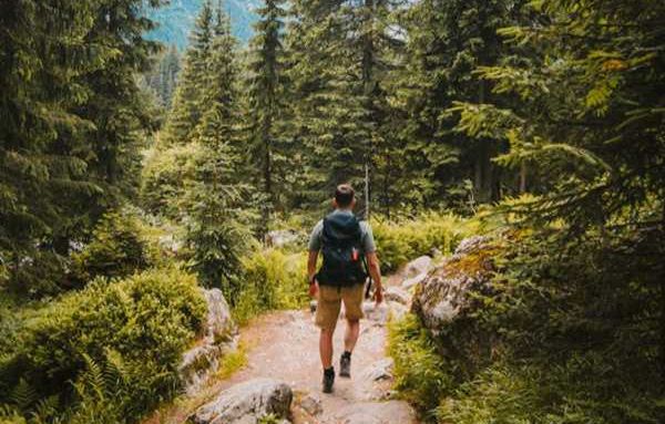 nature, laws, Congress, campaign, community, mining companies, oil companies, timber companies