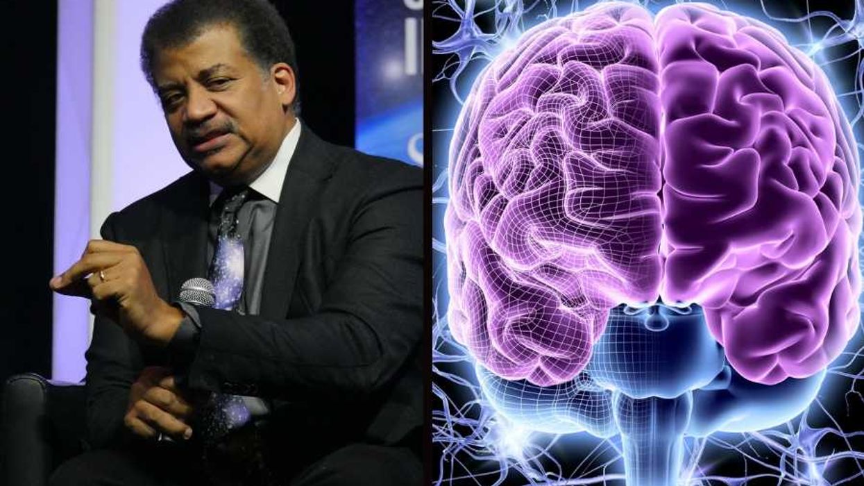 Neil deGrasse Tyson, brain science, chatgpt, brain health, cognitive load