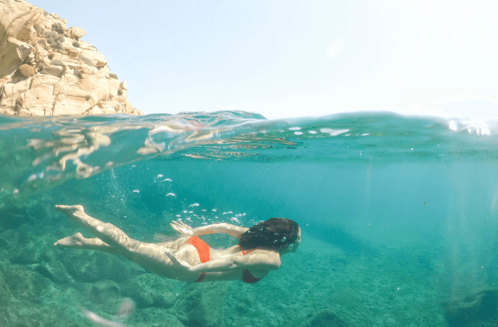 Nicole Isaacs, pregnant woman saves dolphin, remora dolphin TikTok, dolphin rescue viral video, wild dolphin encounter, dolphin pod reaction, TikTok wildlife rescue, remora fish parasites, dolphins sense pregnancy, ocean rescue 2026