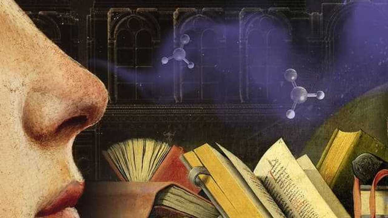 olfactory heritage, historic scents, museum scent, Matija Strlic, Odeuropa, St Paul’s Cathedral, old book smell, GC-MS, mummy scent, Egyptian Museum Cairo, petrichor, Jan Brueghel, Prado exhibition, sensory history, fragrance archaeology, smellscapes, cultural heritage, conservation science, aroma research, visitor engagement