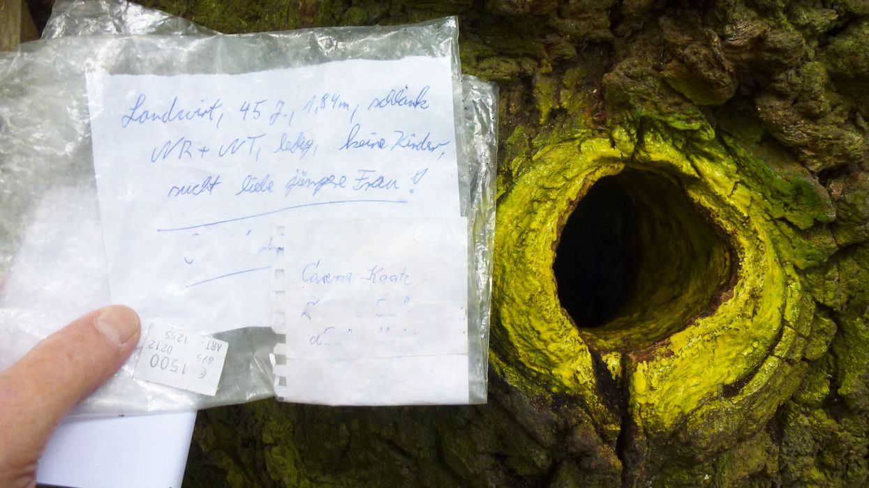person holding note beside an ancient tree