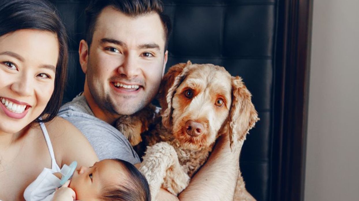 pet attachment, emotional bonding, pets, pet obsession, clingy pets, owner anxiety, codependency, pet psychology