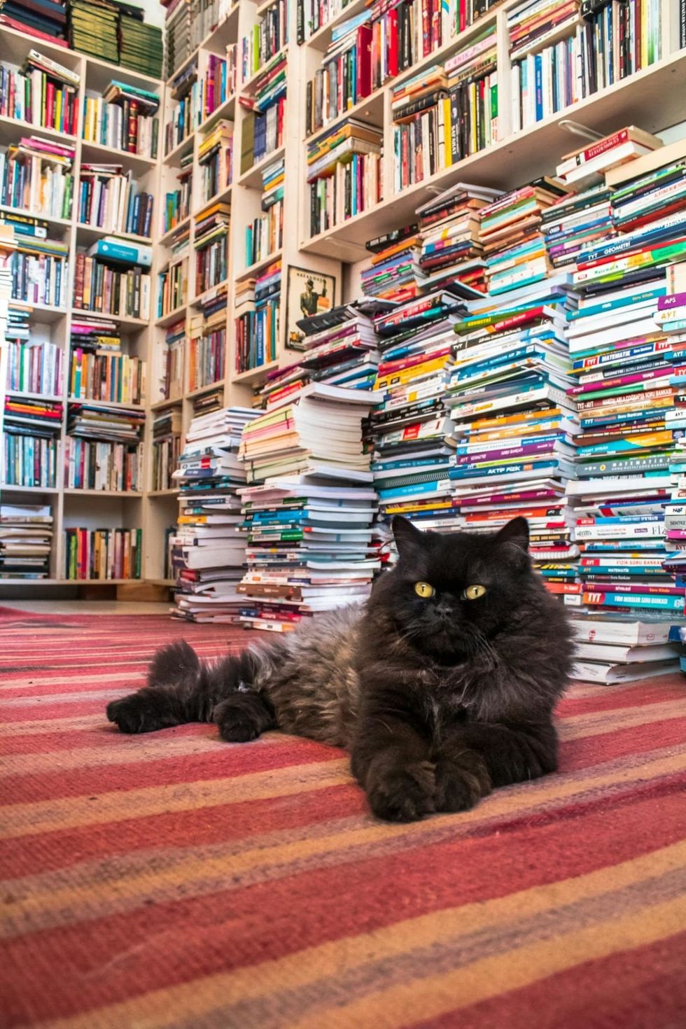 Pexels | Photo by Fatih Kopcal