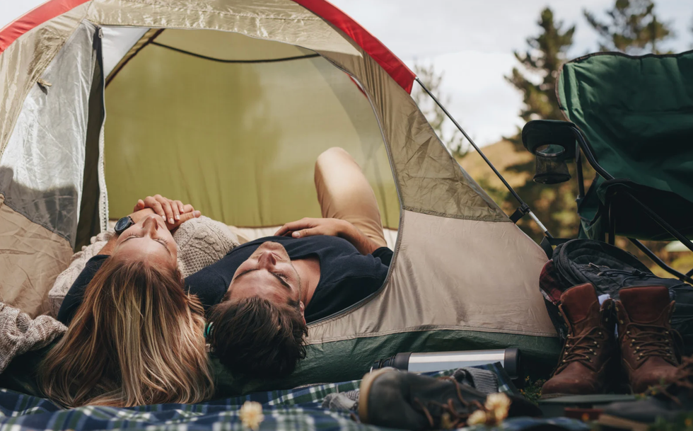 pit bull rescue, hero dog, Gary Thynes, Pittsburgh, WTAE-TV, dog saves owners, animal control, foster dog, good news, canine hero