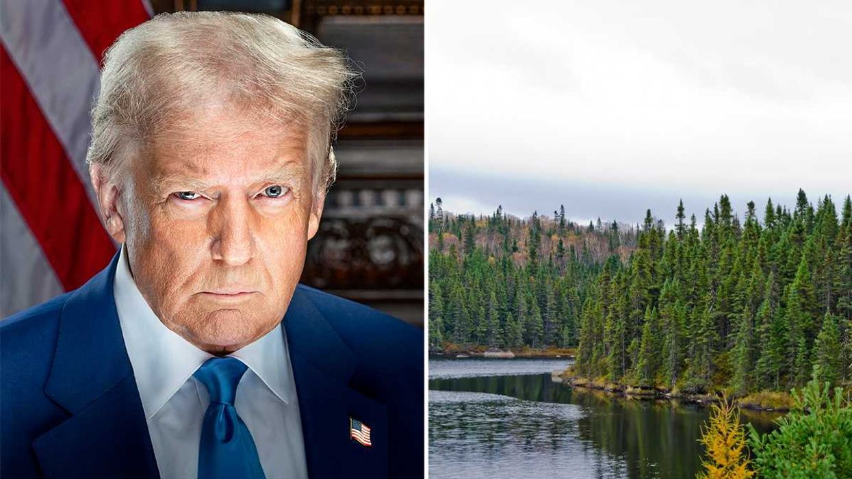 President, Donald J. Trump, Trump, forest, national forest, Roadless Rule, roll back