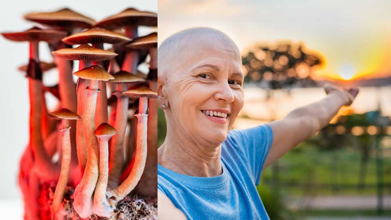 psilocybin, depression, cancer treatment, antidepressants, marginal effects, anxiety, grief, fear