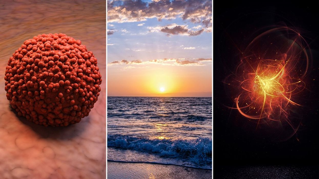 Scientists absolutely stunned by a deep-sea bacteria that makes cancer-killing sugar