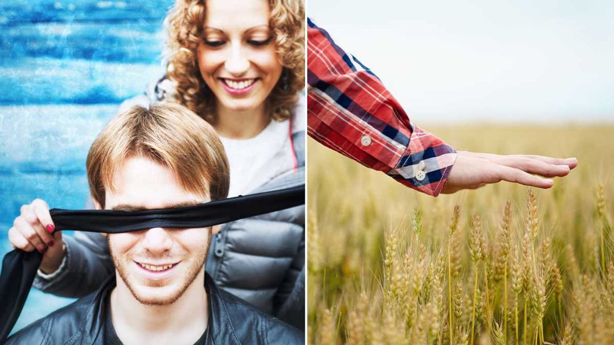 remote touch, human senses, environment, evolution, senses, physical contact, touch, hidden cubes