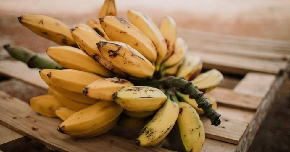 Representational Image Source - Pexels I Photo by Luis Quintero