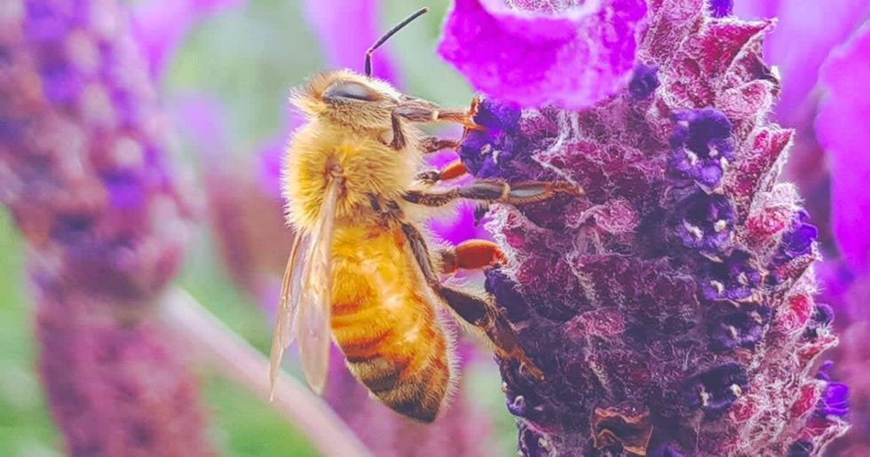 Representational Image Source - Pexels I Photo by Meo