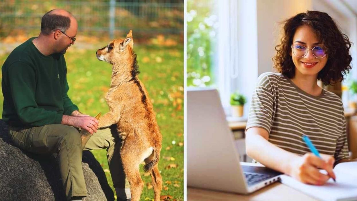 Zoo hilariously asked elderly staff to give 'Gen-Z style' tour of animals and they didn't disappoint
