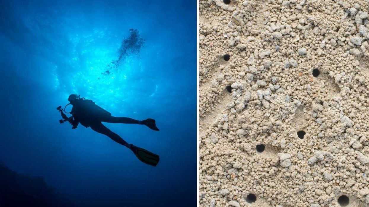 Scientists are 'stumped' after finding mysterious pattern of holes on the Atlantic Ocean seafloor